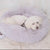 1pc Long Plush Round Pet Nest Self Warming Round Dog Bed Dog Sofa