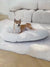 Thickened Dog Nest Four Season Universal Dog Sleeping Bed Warm Soft Dog Cushion Bed Detachable And Washable Dog Bed
