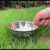 Stainless Steel Dog Bowl Durable Dog Feeder Bowl With Nonslip Bottom For Feeding And Drinking Supply